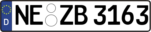NE-ZB3163