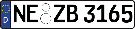 NE-ZB3165