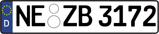 NE-ZB3172