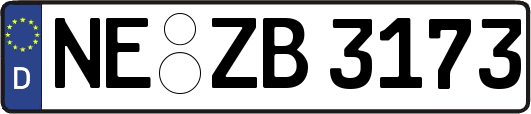 NE-ZB3173