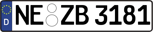 NE-ZB3181
