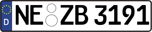 NE-ZB3191