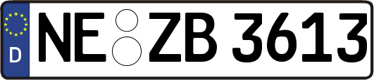 NE-ZB3613