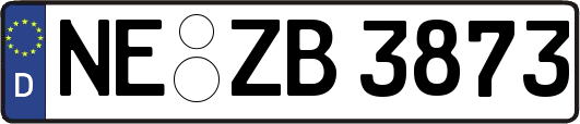 NE-ZB3873