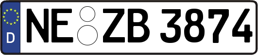 NE-ZB3874