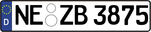 NE-ZB3875