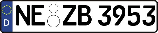 NE-ZB3953