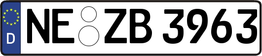 NE-ZB3963