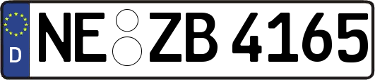 NE-ZB4165