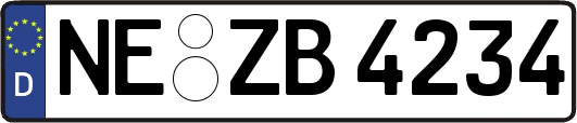 NE-ZB4234