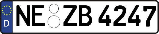 NE-ZB4247