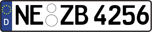 NE-ZB4256