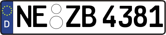 NE-ZB4381