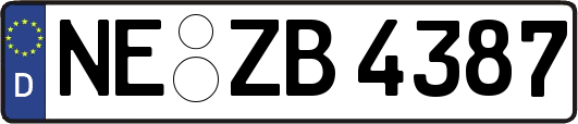NE-ZB4387