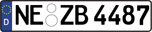 NE-ZB4487