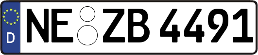 NE-ZB4491