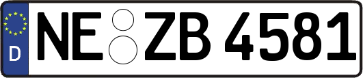 NE-ZB4581