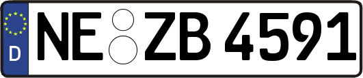 NE-ZB4591