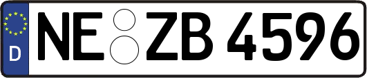 NE-ZB4596