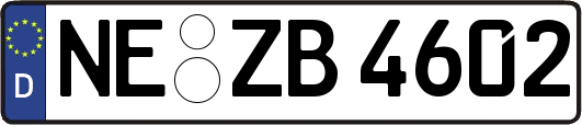 NE-ZB4602