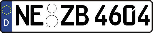 NE-ZB4604
