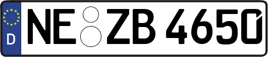 NE-ZB4650
