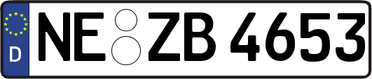 NE-ZB4653