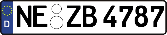 NE-ZB4787