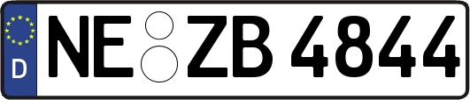 NE-ZB4844
