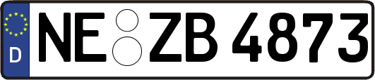 NE-ZB4873