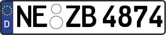NE-ZB4874