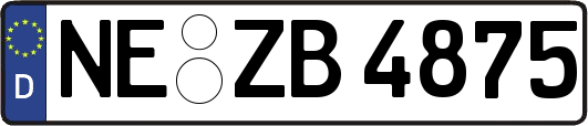 NE-ZB4875