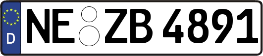 NE-ZB4891