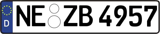 NE-ZB4957