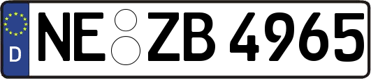 NE-ZB4965