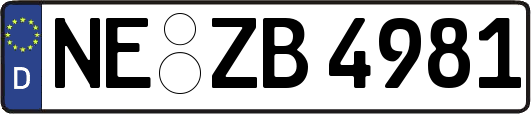 NE-ZB4981