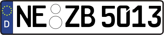 NE-ZB5013