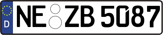 NE-ZB5087