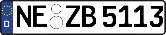 NE-ZB5113