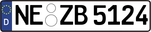 NE-ZB5124