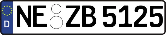 NE-ZB5125