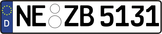NE-ZB5131