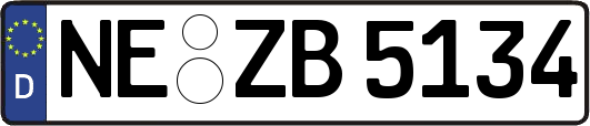 NE-ZB5134