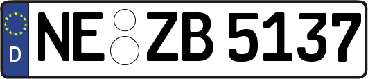 NE-ZB5137