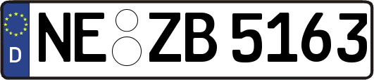 NE-ZB5163