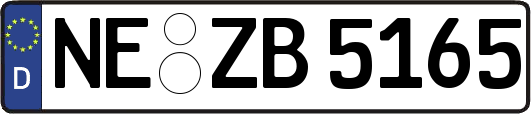 NE-ZB5165