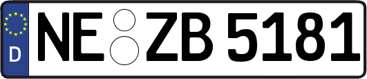NE-ZB5181