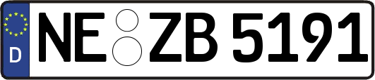 NE-ZB5191