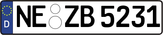 NE-ZB5231