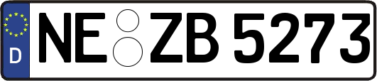 NE-ZB5273